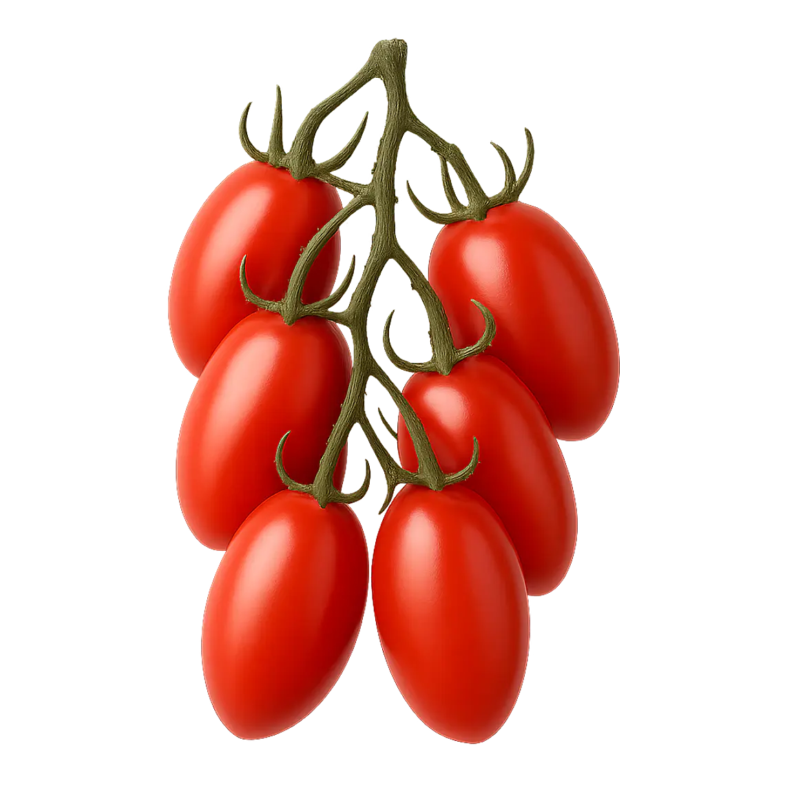 Tomates Pomodoro 1