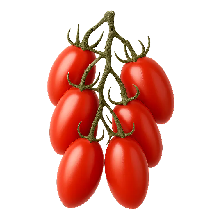 Tomates Pomodoro 1