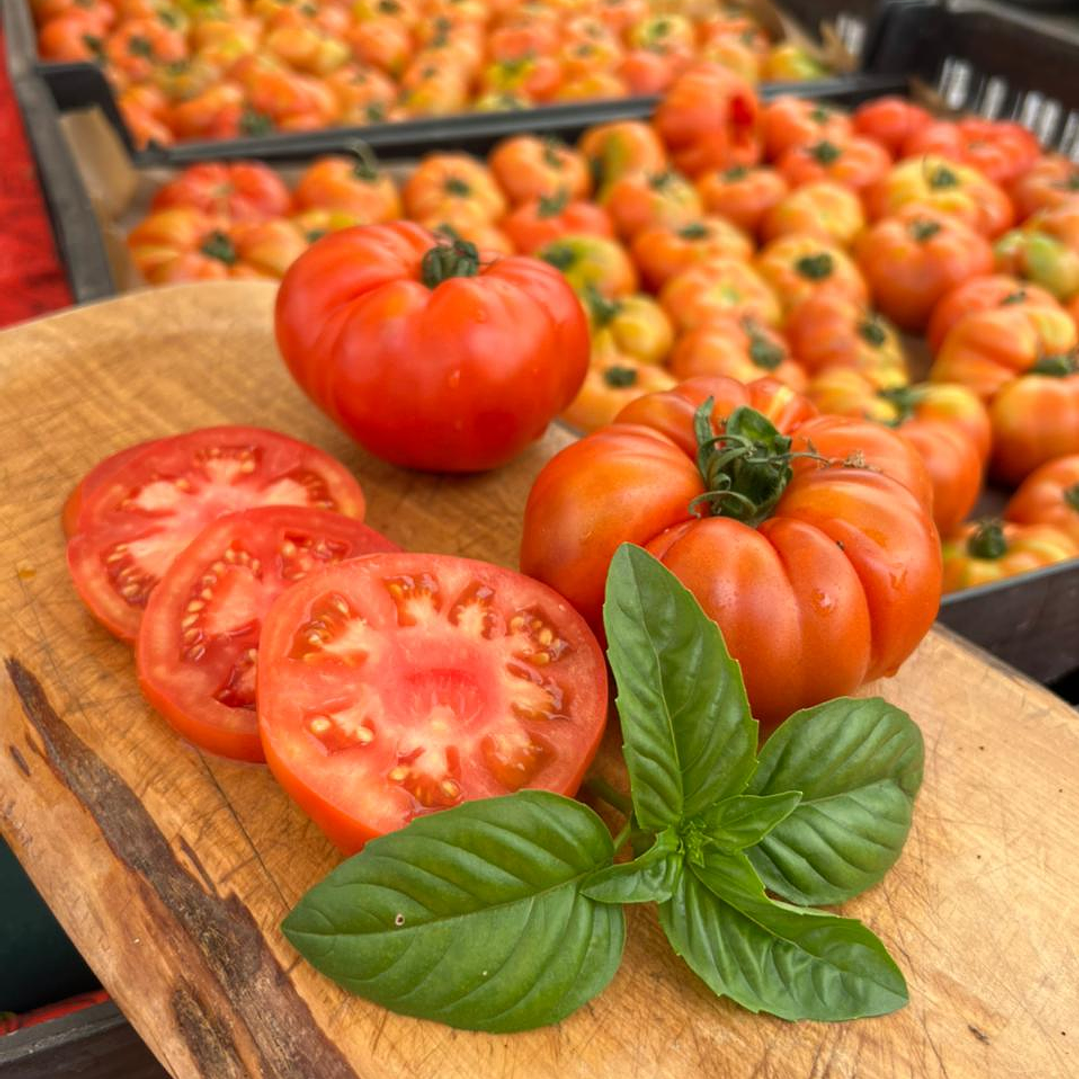 🍅 Tomate Limachino 2