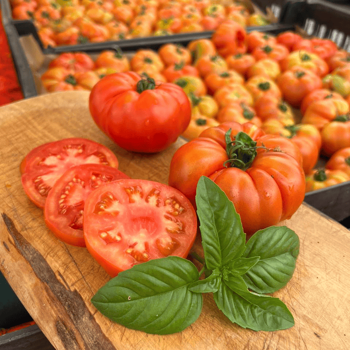 🍅 Tomate Limachino 2