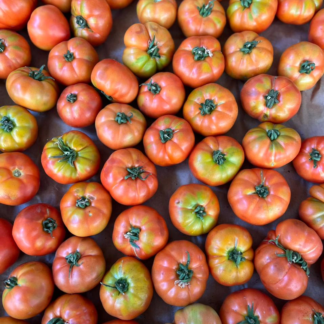 🍅 Tomate Limachino 1