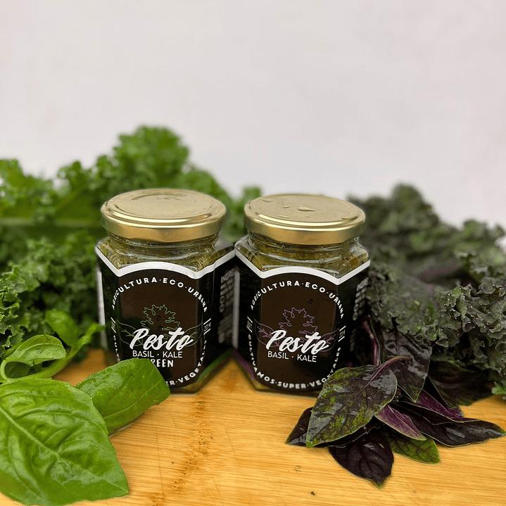 🌿Pesto Albahaca y Kale 3