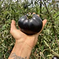 🍅 Tomate Black Beauty - Miniatura 1