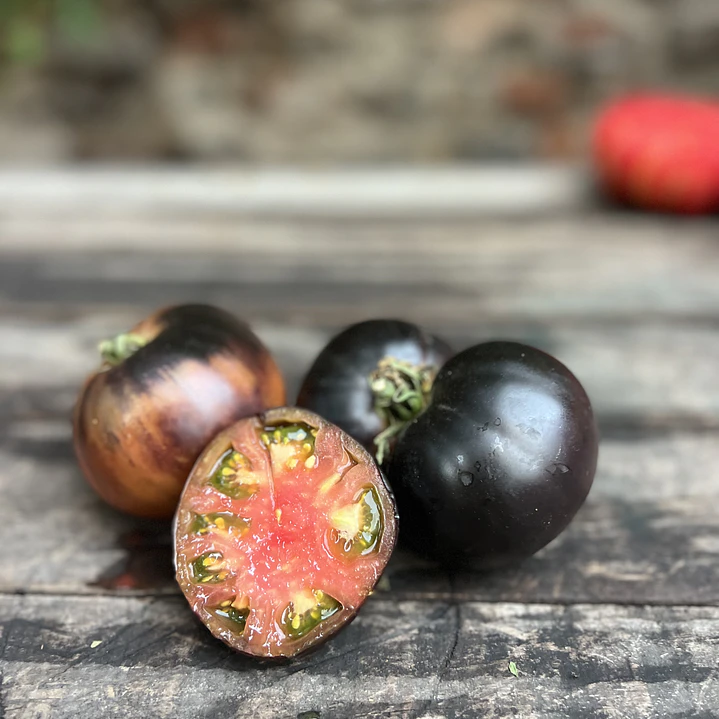 🍅 Tomate Black Beauty 3