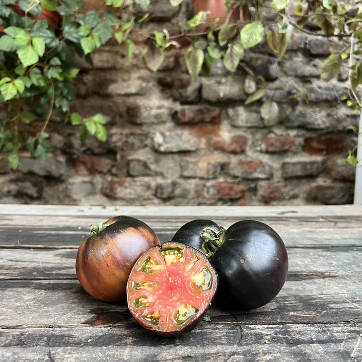 🍅 Tomate Black Beauty 4