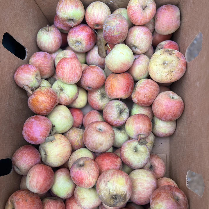 🍎 Manzana Fuji  1