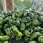 🌶️ Pimenton Padron - Miniatura 2