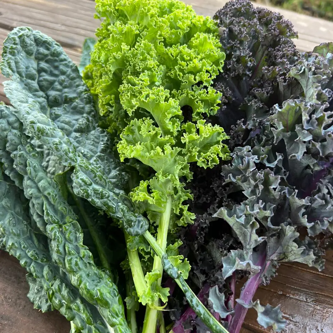 🌿 Kale Mix 2