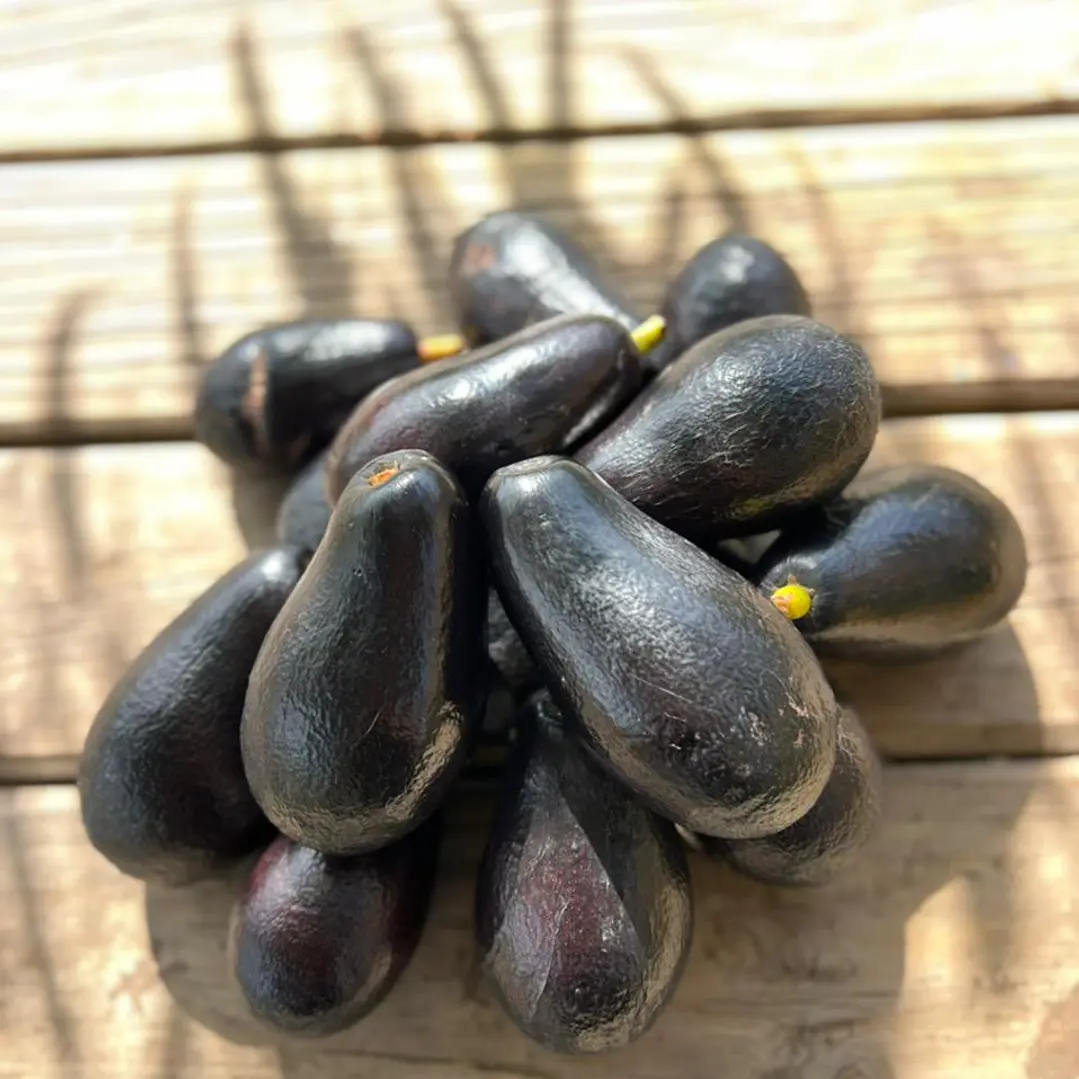 🥑 Palta La Cruz  3