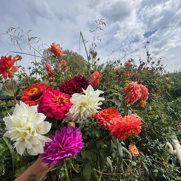 💐 Ramo de Flores  1