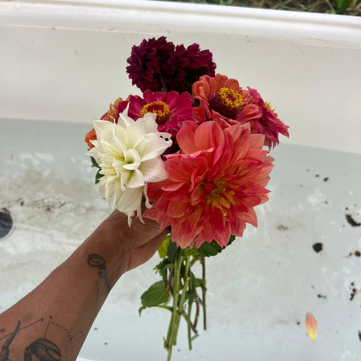 💐 Ramo de Flores  2