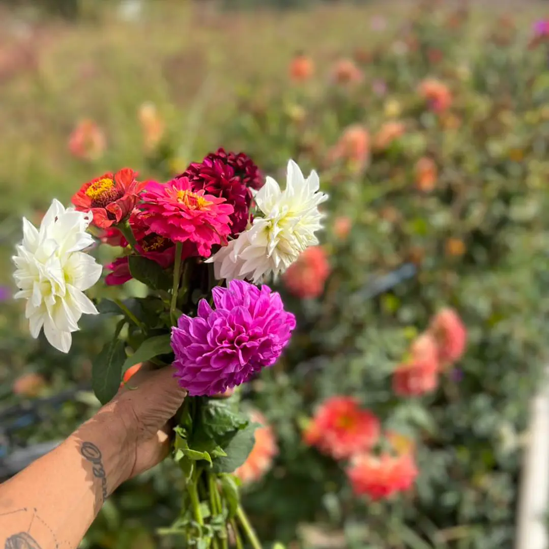 💐 Ramo de Flores  3