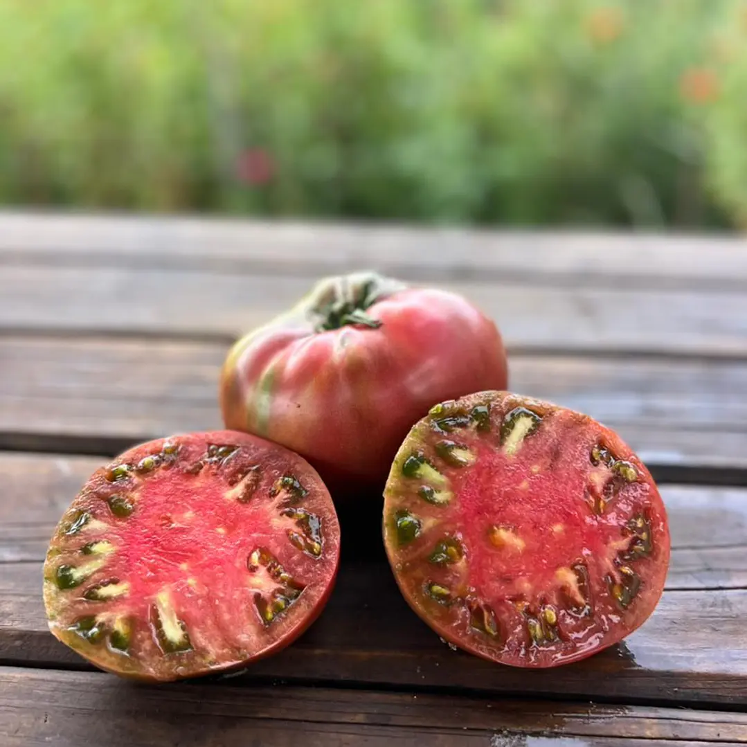 🍅 Tomate Carbon 2