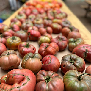 🍅 Tomate Cherokee