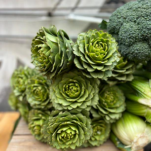 🥬 Alcachofa