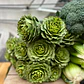 🥬 Alcachofa - Miniatura 1