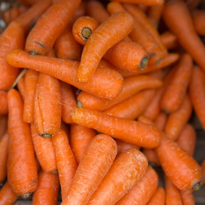 🥕Zanahoria 1