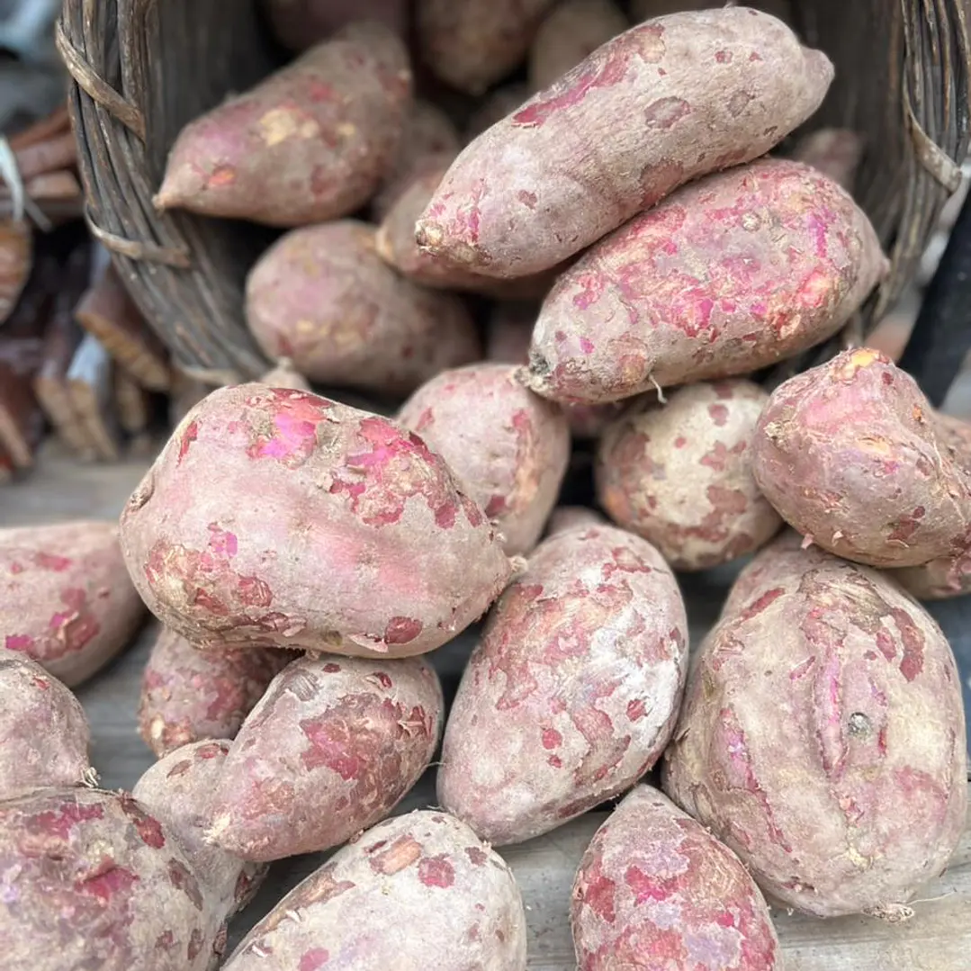🥔Camote Dulce 1