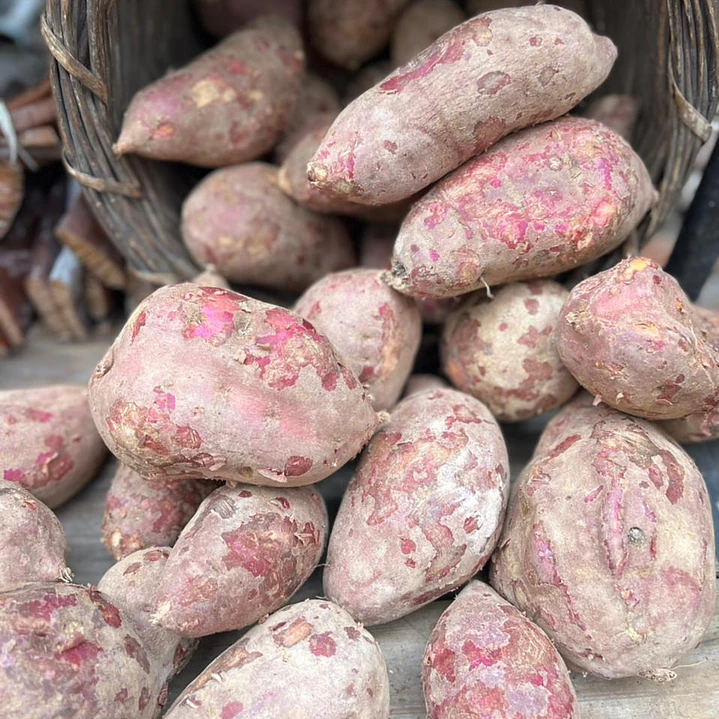 🥔Camote Dulce 1