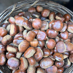 🌰Castañas
