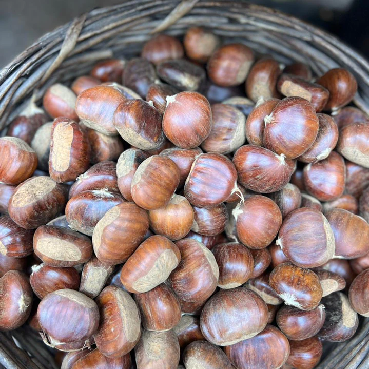 🌰Castañas 1