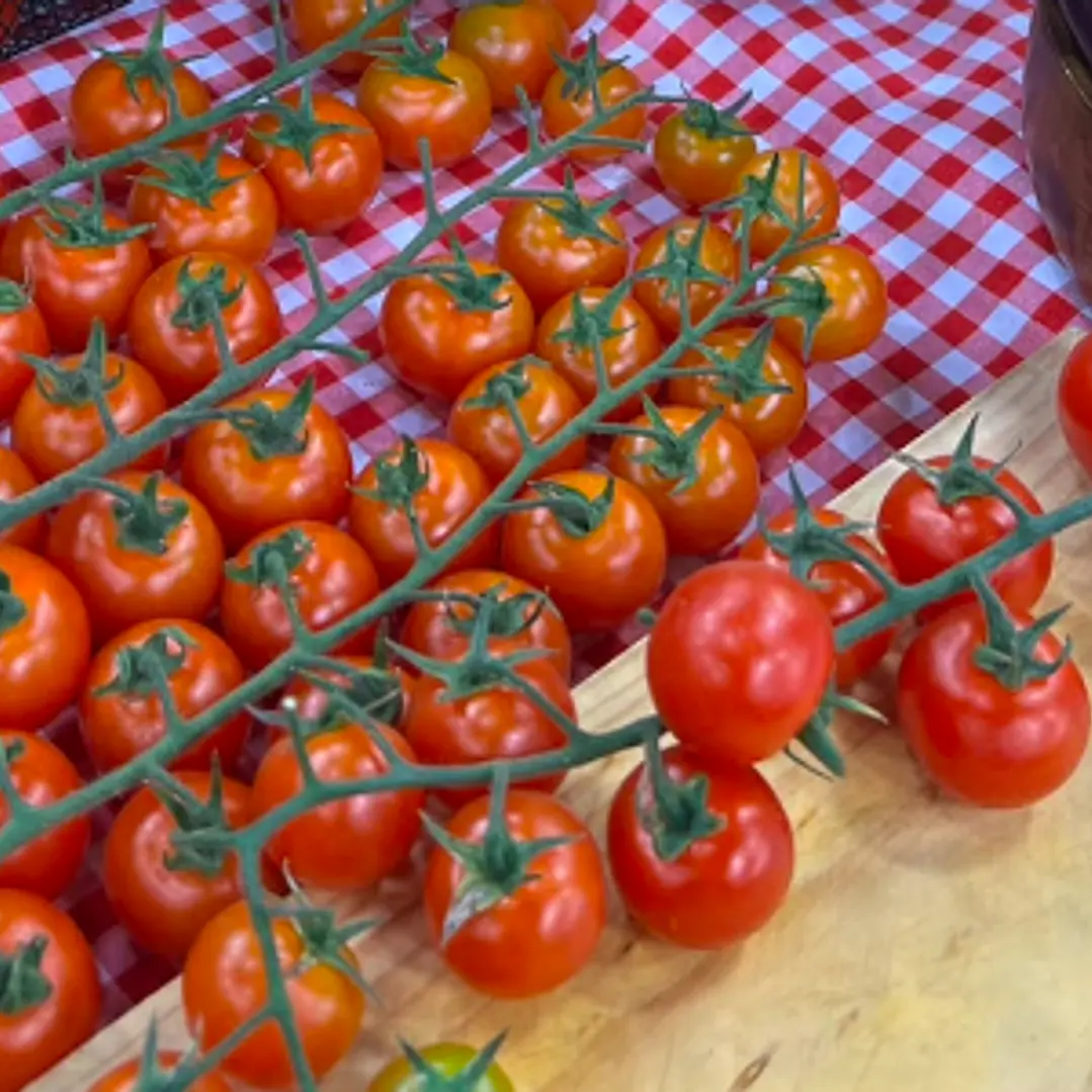 🍅 Tomate Cherry Racimo 2