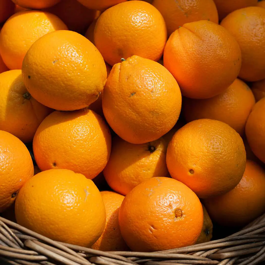 🍊Naranjas 1