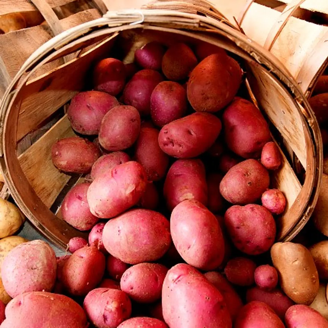 🥔 Papas 1