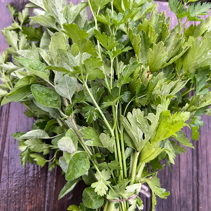 🌿 Verdura Surtida 1