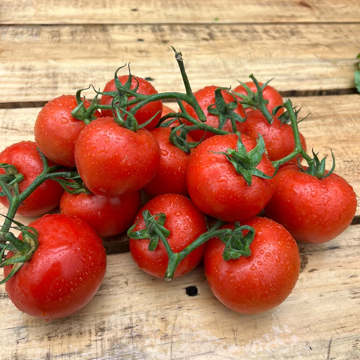 🍅 Tomate Racimo 2