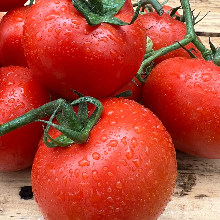 🍅 Tomate Racimo 1