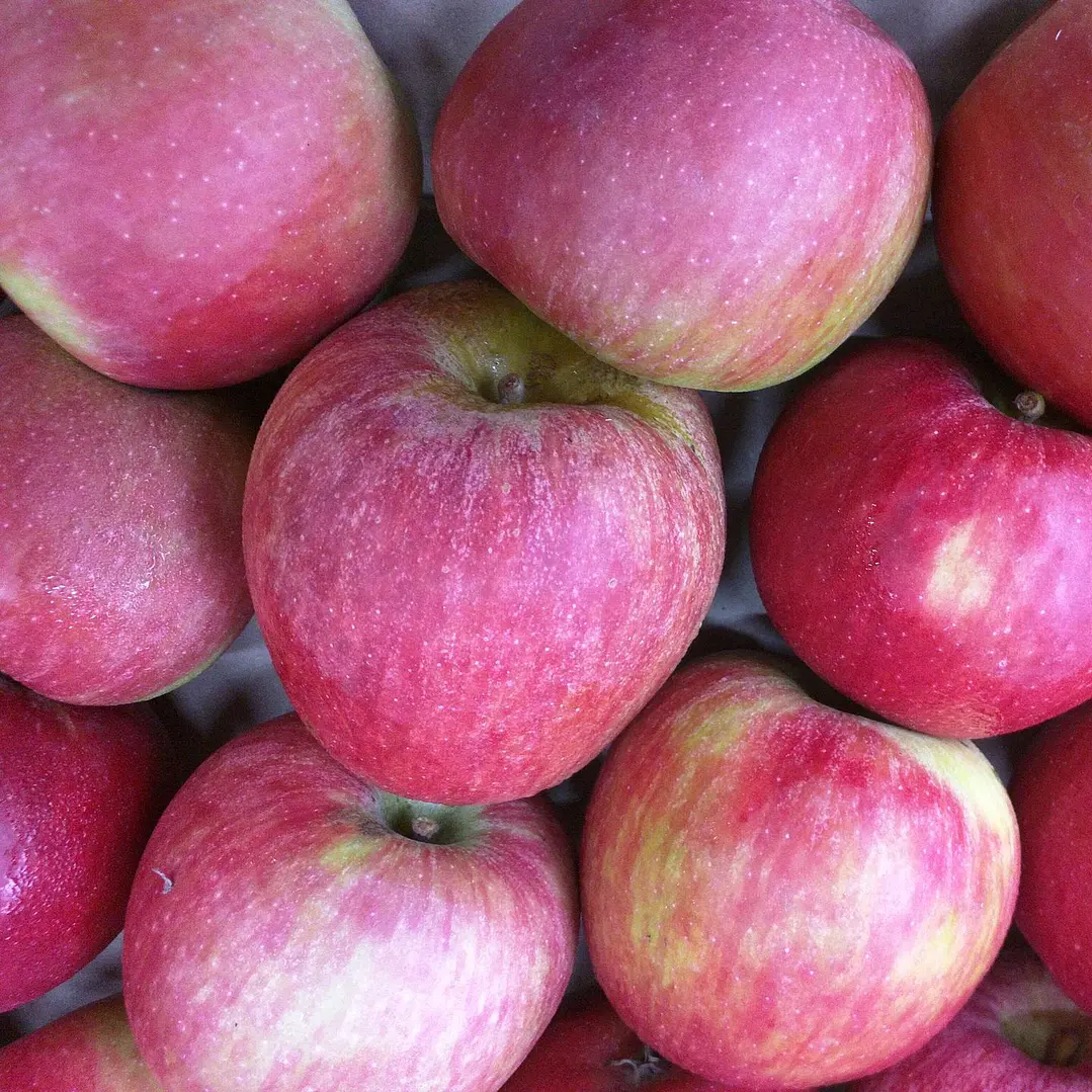 🍎 Manzana Fuji  1