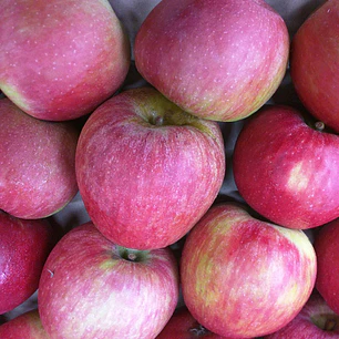 🍎 Manzana Fuji 