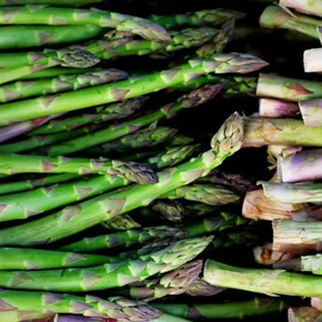 🥬 Esparragos de Parral 2