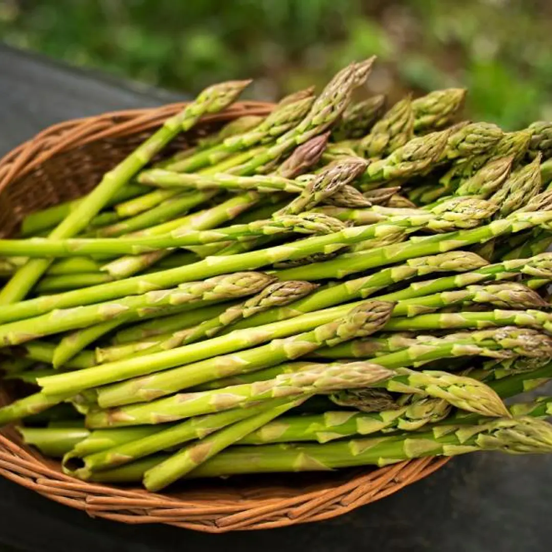🥬 Esparragos de Parral 1