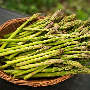 🥬 Esparragos de Parral