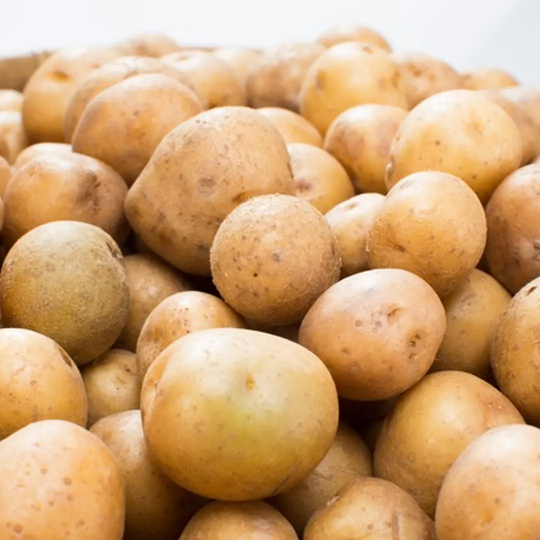 🥔 Papas Clásica pequeña 1