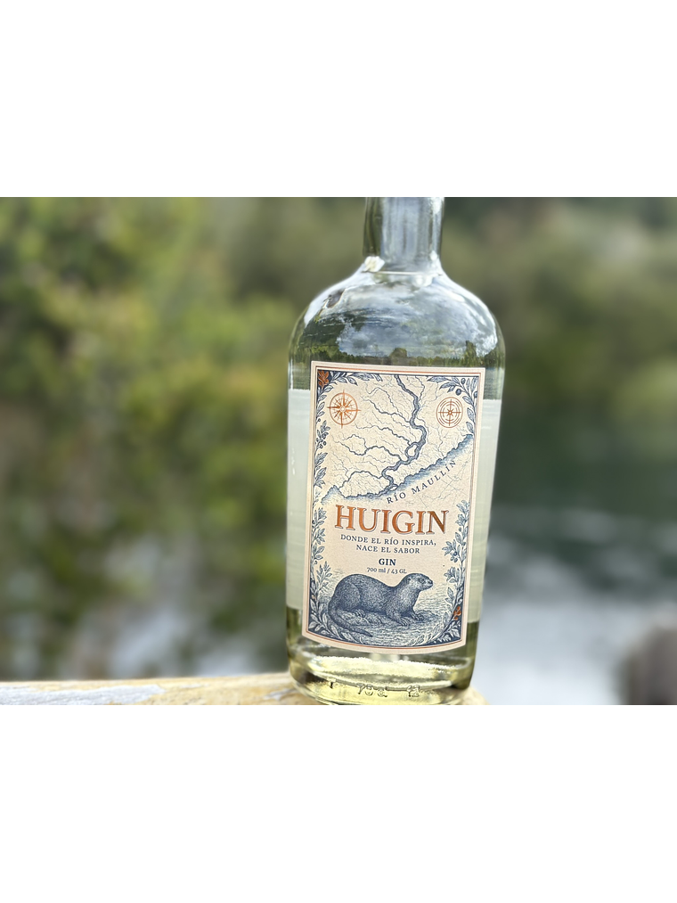HUIGIN 700 ml 1