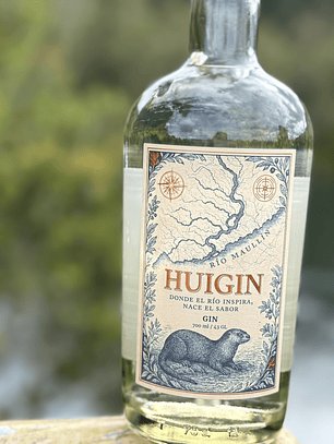 HUIGIN 700 ml