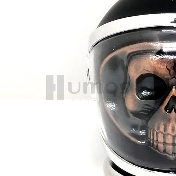 Moledora Astronauta Calavera