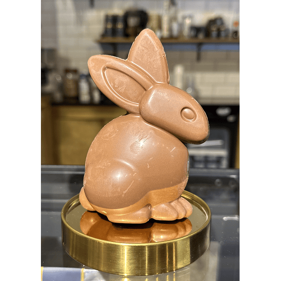 Conejo Grande Leche 36% - Praline Avellana