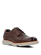 Zapato Cuero Hombre Sequio Café - Miniatura 2