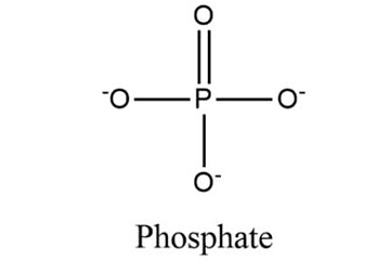 Macronutrientes - Fosfatos