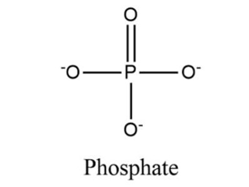 Macronutrientes - Fosfatos