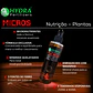 Hydra Micros - Miniatura 2