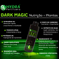 Hydra Dark Magic - Thumbnail 1