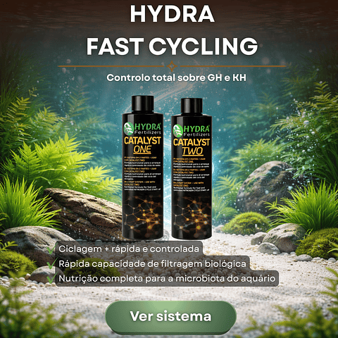 Hydra Fast Cycling System