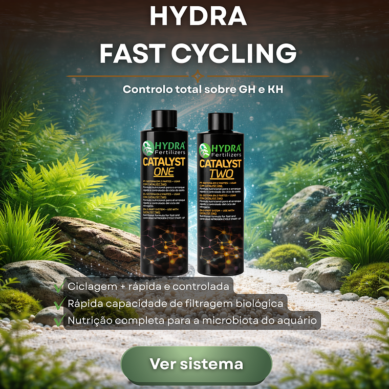 Hydra CATALYST SYSTEM 3