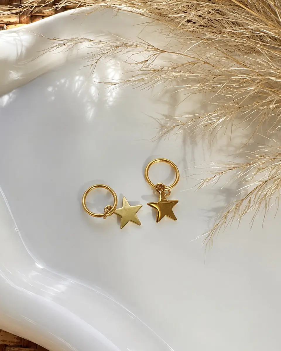 Colgante de estrella 1