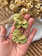 💚 Charm Flor Verde Oliva y Dorado 💚 Incluye Argolla - Miniatura 1
